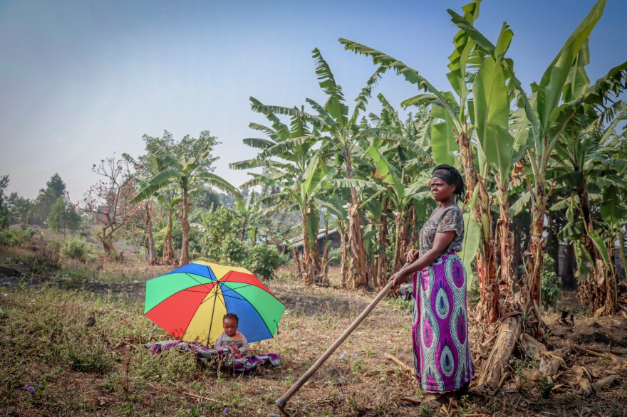 In rural areas of Goma, when a woman has a child, her in-laws will often give her an umbrella to keep the baby out of the sun while she's farming. Mwamini Ndawiha, 40, works while one of her six children plays under an umbrella.