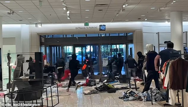 A shocking video has captured a scene of mob-style mayhem, showing a smash-and-grab robbery involving up to fifty looters at a Los Angeles mall