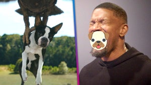 ‘Strays’: Watch Will Ferrell and Jamie Foxx Record the R-Rated Dog Comedy! (Exclusive)