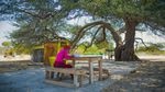 Stepping under the shade of a tree, and out of the sun, lowers your body temperature. A teenage girl does her school work under a tree while watching over a shop selling necessities.