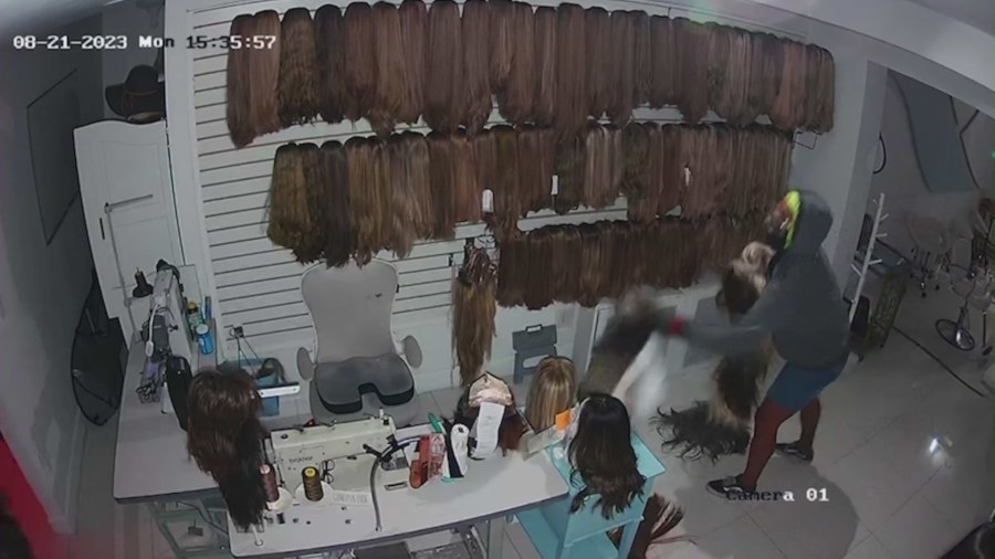 Security cameras captured burglars ransacking a Beverly Hills wig shop and escaping with almost $200,000 worth of wigs meant for cancer patients. (The Wig Fairy)