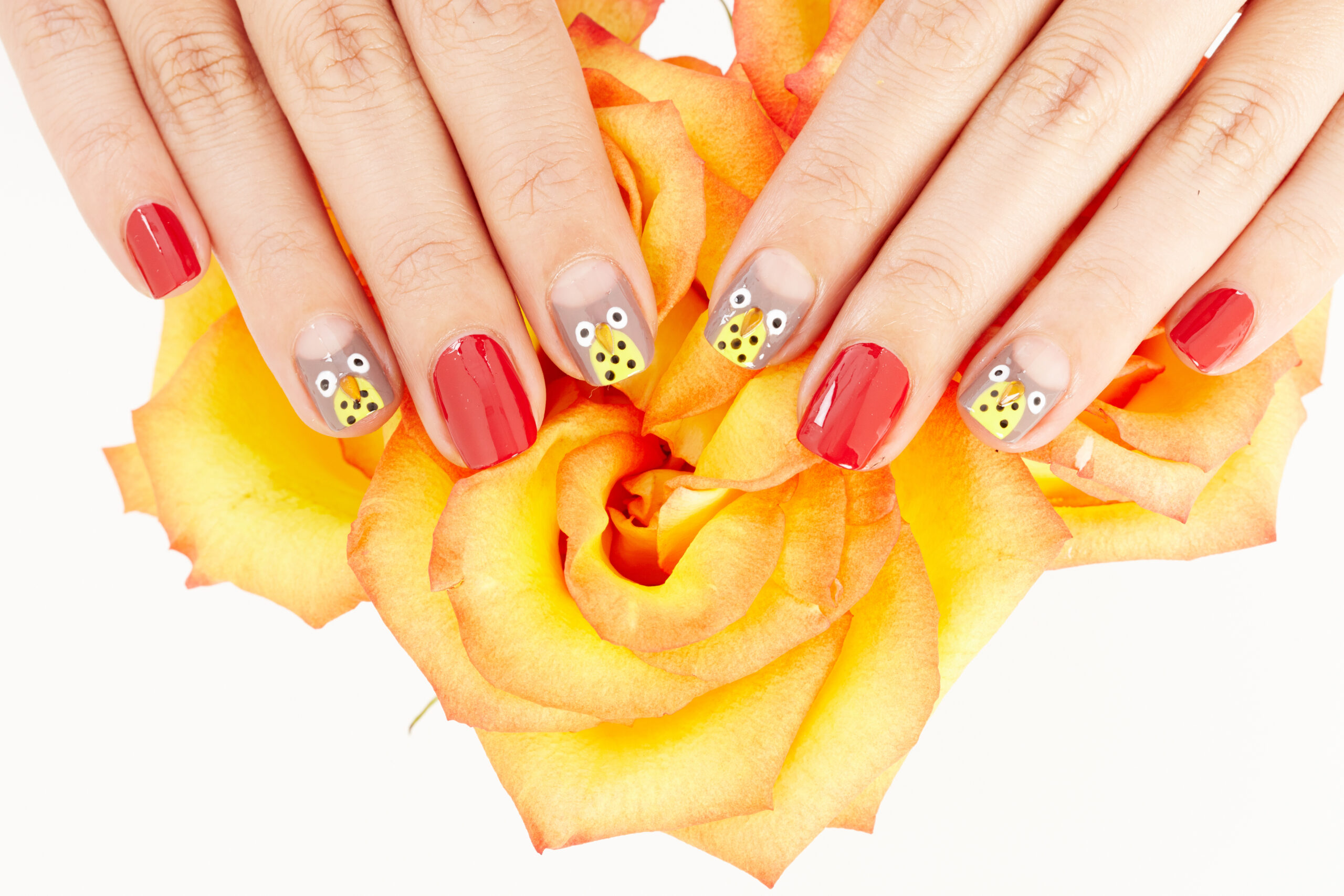 Hands holding an orange rose and nails are painted red and with owl accents