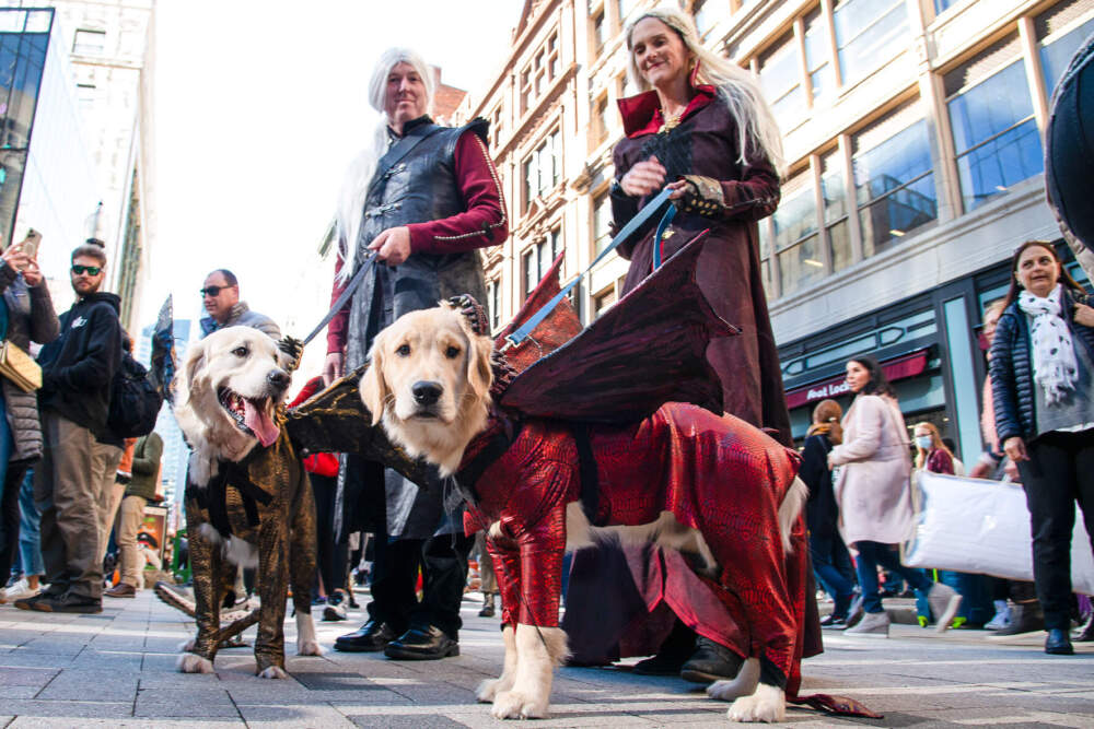 Dogs and their owners dressed as dragons and dragon tamers. 