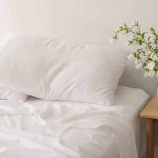 Cozy Earth Bamboo Sheet Set