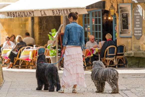 The French  are notorious for peppering the pavements with poop.