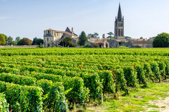 French wines have a different flavour profile.