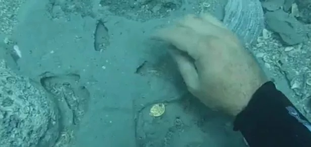 A diver unearths rare, valuable ancient coins