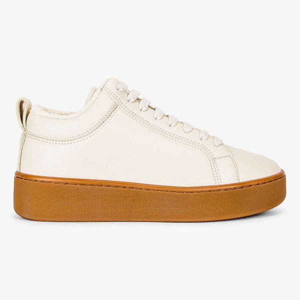 Bottega Veneta Lace Up Sneakers