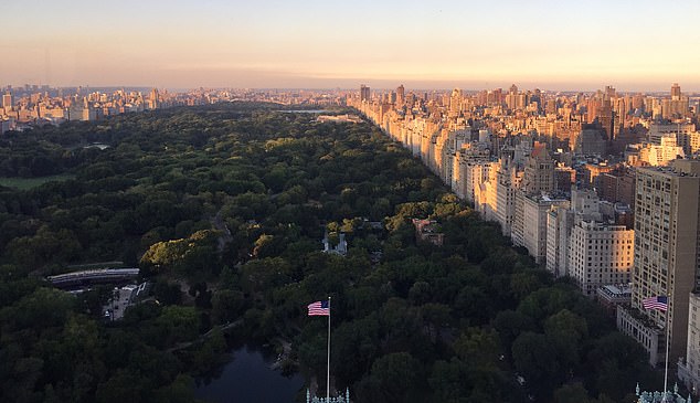 She was working on the 46th floor with views over Central Park, pictured, working for a softly spoken financial genius who was clearly raking in billions