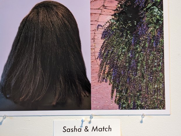 Moraine Valley Community College student Priscilia Sossah compares one model's hair to an array of flowers in a panel from her photo essay 