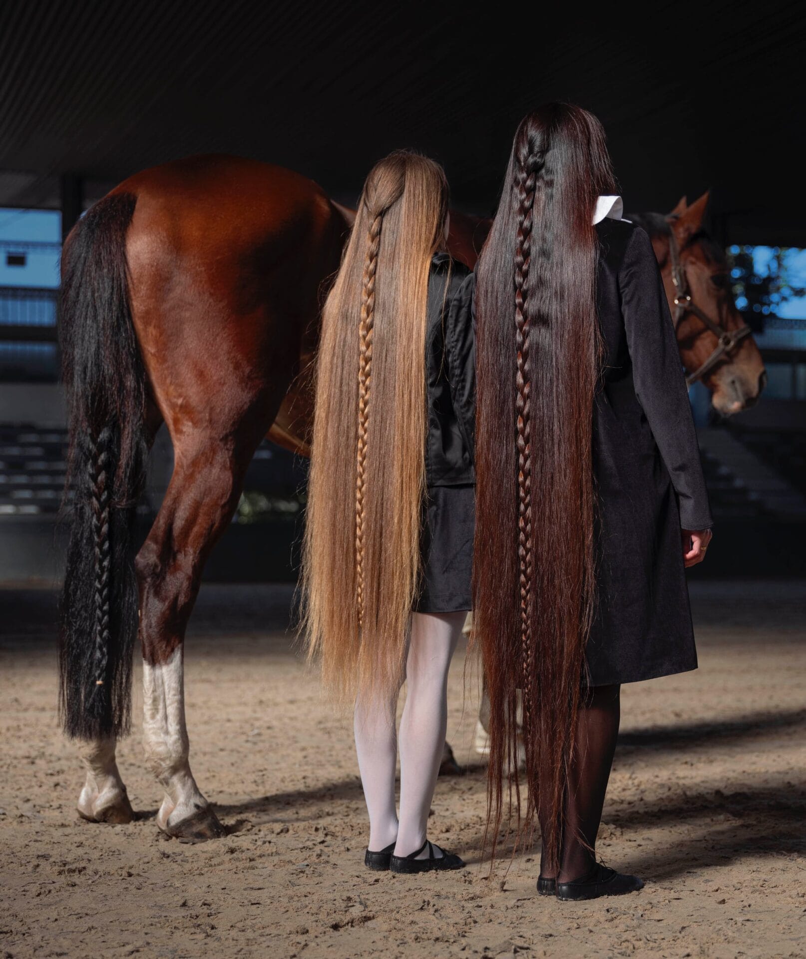 two young girls with their hair down to their calves stand next to a horse's tail. All three have single braids down the center