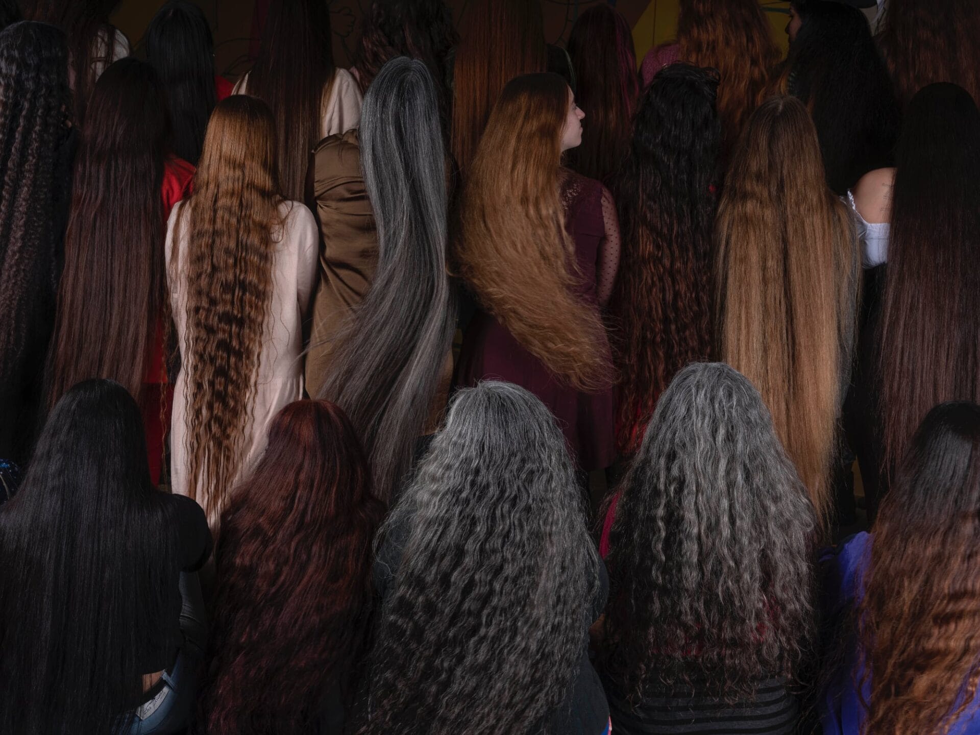 a group of woman with incredibly long hair, their backs all to the camera