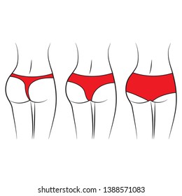 Women Booty with Different Types of Underwear. Stock Vector