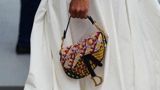 dior saddle bag in multi pattern