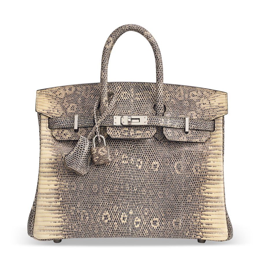 A Rare, Shiny Ombré Salvator Lizard Birkin 25 with Palladium Hardware