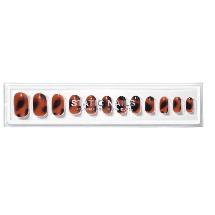 tortoise shell press on nails