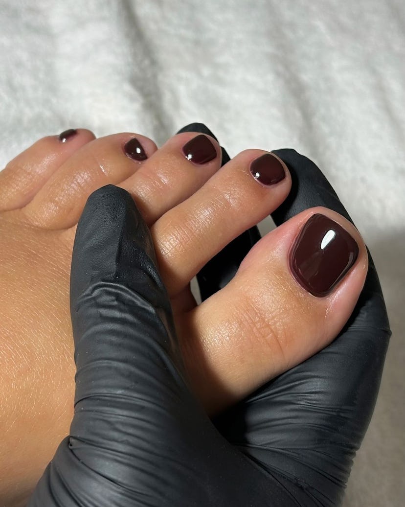 Dark chocolate brown pedicures are perfect for Scorpio season 2024.