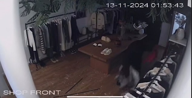 In the footage, two of the men can be seen breaking into the store before they began taking as much as they could