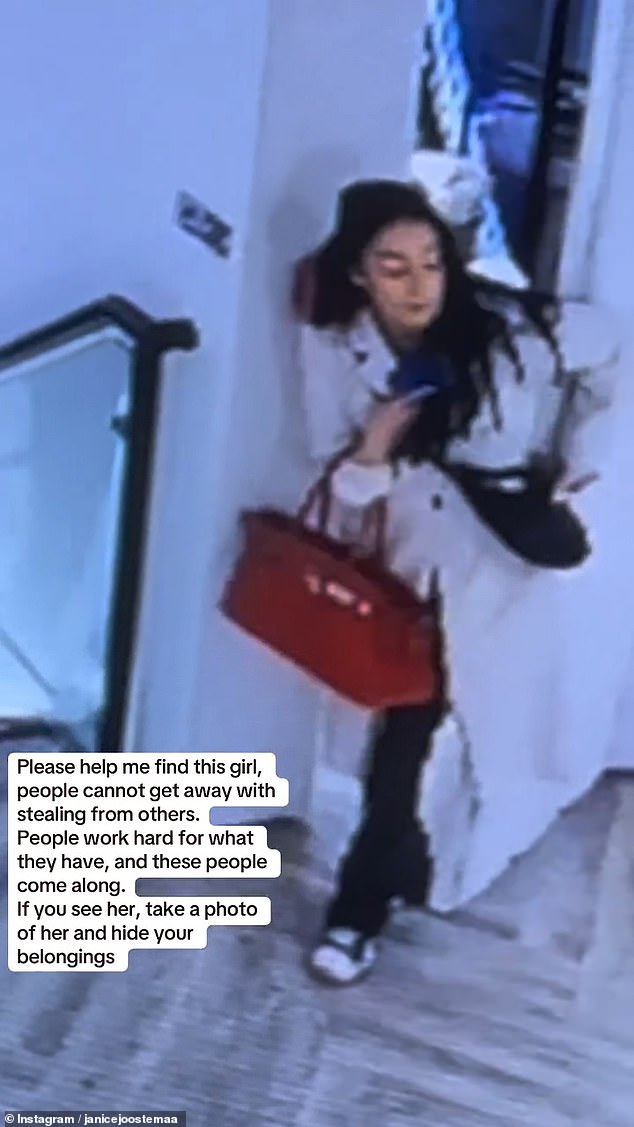 Ms Joostema has called for people to help identify the woman who brazenly took her bag